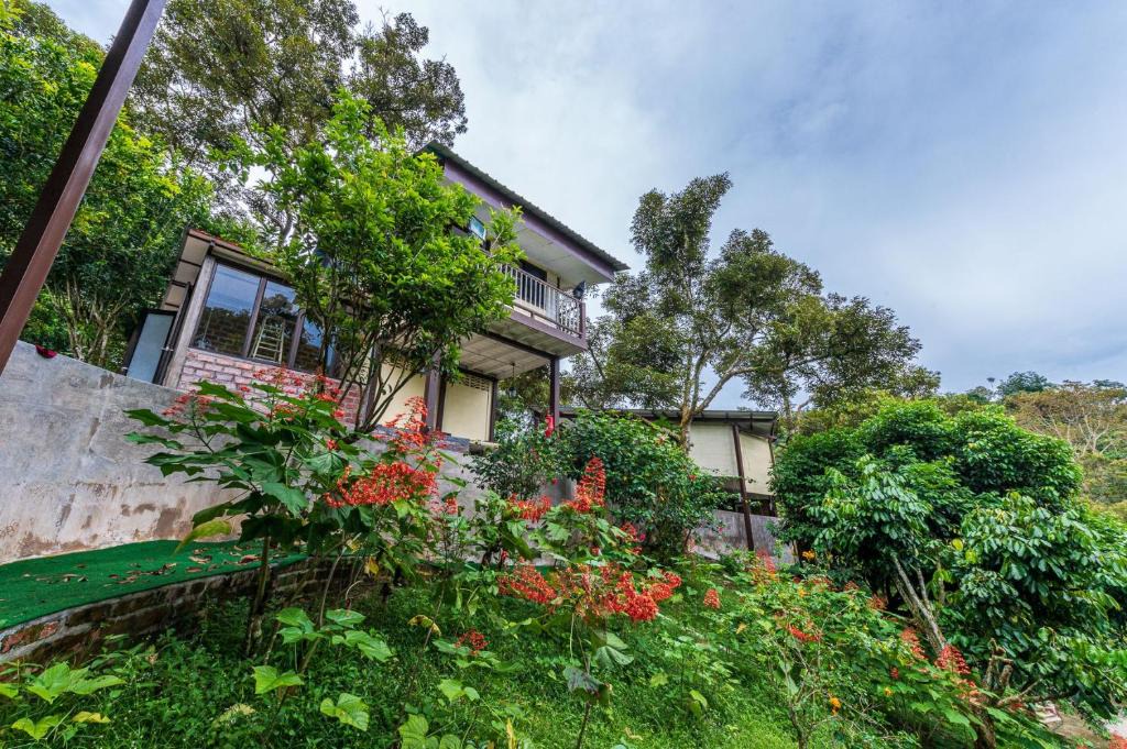 Teras House | Bentong Wellness Resort Uphill 8Room 40Pax by Verano Homestay