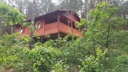 Rakow Ski Chalet | Domki w Sosnowym Lesie