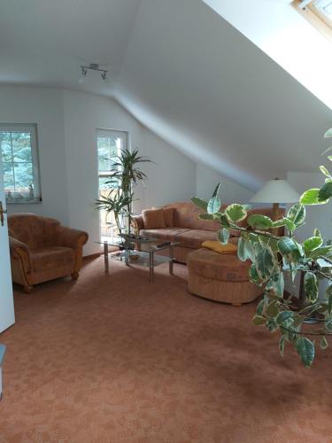 Werder Apartment | Ferienwohnung Blütenstadt Werder-Havel