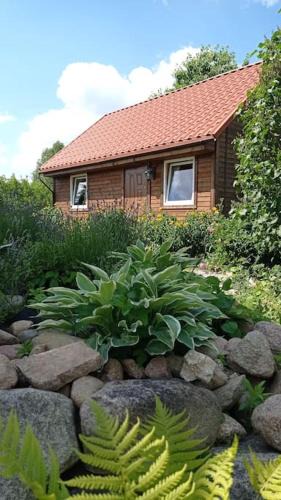 Dzwierzuty Apartment | Uroczy domek na Mazurach