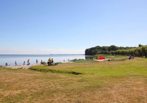 Beachfront apartment with terrace and sea view - Ferienhaus Boddenblick FeWo EG in Putbus OT Neuendorf