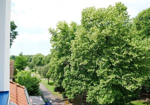 Vacation apartment "Kordigast" on Poel