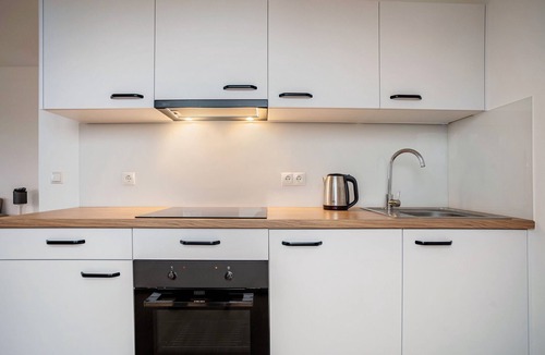 Fleischervorstadt Apartment | Apartment 'Modernes Loft In Greifswald' with Balcony and Wi-Fi