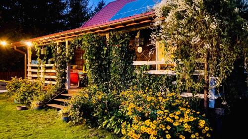 Pisz House | Chata Pilchy