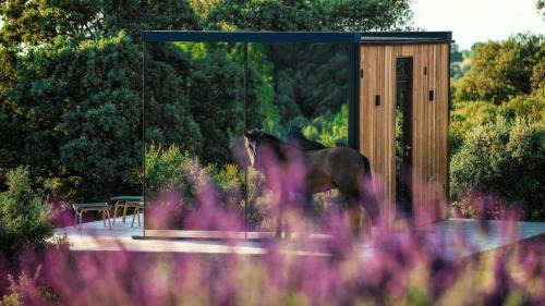 Hontanar House | CORK VALLEY - Pet Friendly & Only Adults