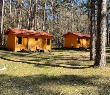 Natac Wielka House | Domki i Pole Namiotowe Pod Sosnami