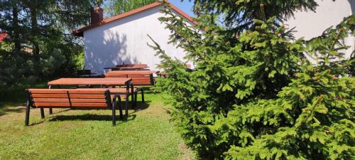 Wilkasy Cabin | Gościniec Mazurek , Domek drewniany 1