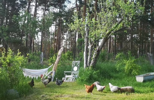 Heideblick Apartment | Guest suite on the edge of the forest, temporary getaway - vacation apartments in Heideblick
