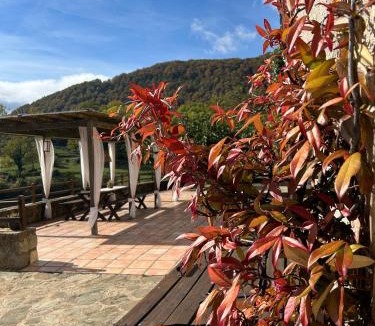 Vidra Ski Chalet | Masia d'Els Plans