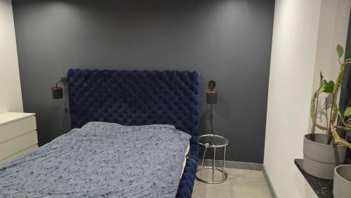 Kamionka Apartment | Solid house