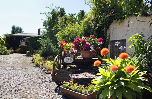 Wiesenburg/Mark Apartment | Studio Apartment 'Cottage Im Fläming' with Private Terrace, Shared Garden and Wi-Fi