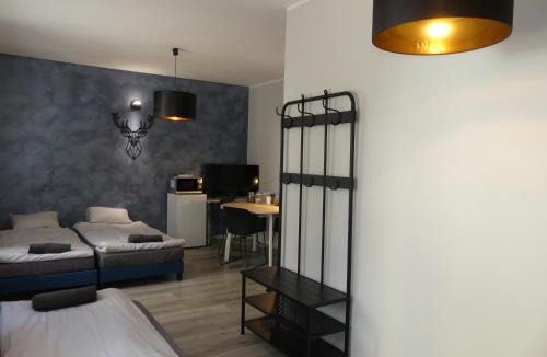 Tarnobrzeg Apartment | Studio Centrum