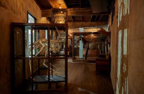 China Town Hotel | The Mustang Blu
