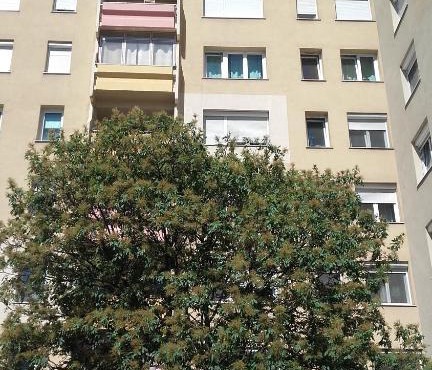 Óbudai Apartman - Sziget Festival