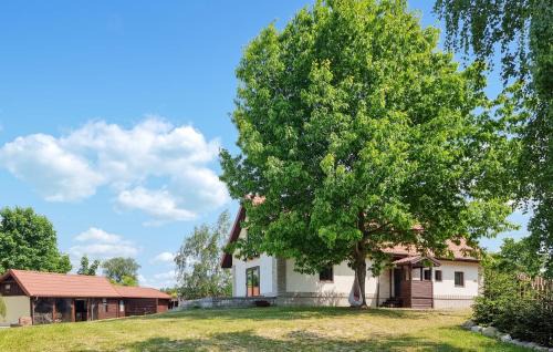 7 Bedroom Beach Front Home In Szalstry