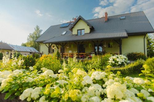 Agroturystyka u Oli