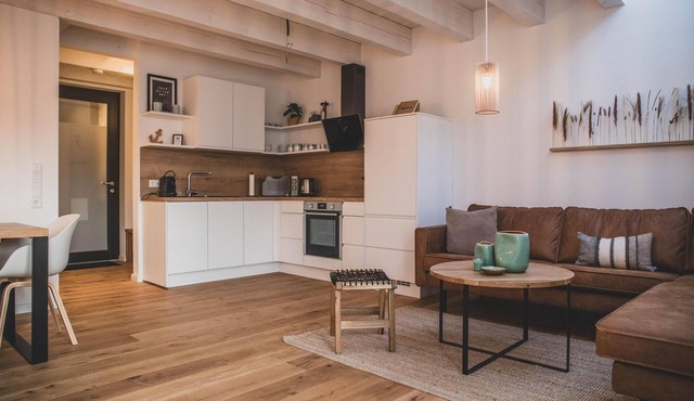 "Anni" cozy maisonette apartment with terrace in the historic Gulfhof