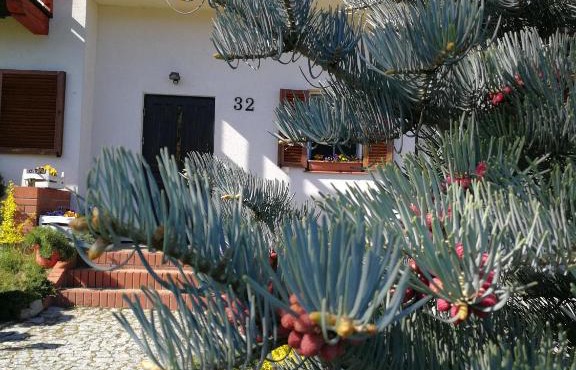 Apartament 32