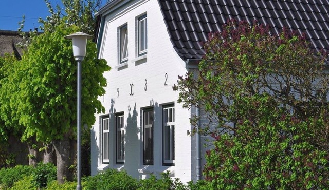 Apartment/apartment for 2 guests with 55m² in Dunsum (105376)