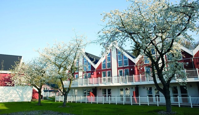 Apartment in Bad Saarow mit Terrasse