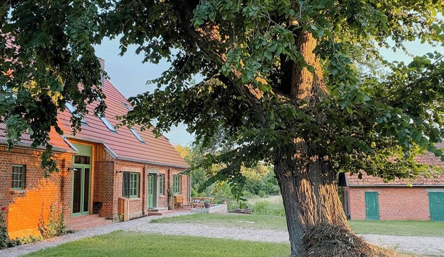 Apartment with swimming pond in Mecklenburg
