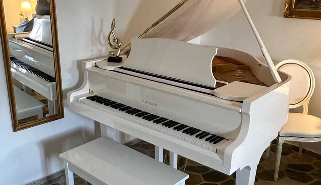 Beethoven Apartment - Schloss Grabow, Resting Place & a Luxury Piano Collection Re