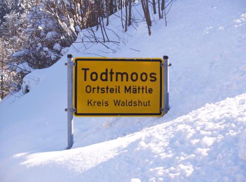 Birke 9, 10 oder 11 in Todtmoos