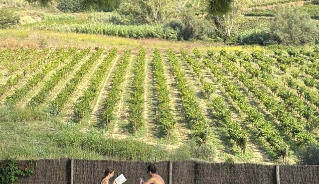 Boutique Manor Farmhouse, pool & vineyard views, 35' Barcelona, 25' Sitges