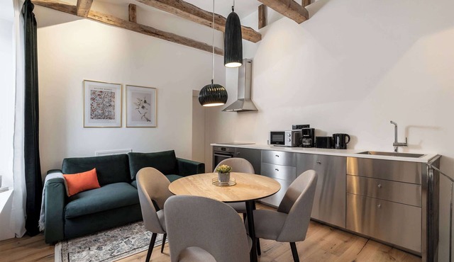 Brick & Beam Loft Duplex (30sqm) near Antonplatz