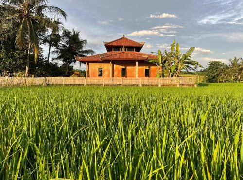 Cacao Bamboo House