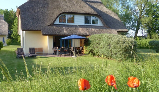 Comfortable thatched house Eibe 1 Sauna Fireplace Wallbox - DHH Eibe 1