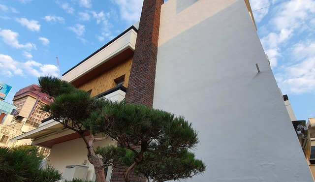 Daegu House - Hostel
