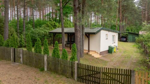 Domek w Puszczy