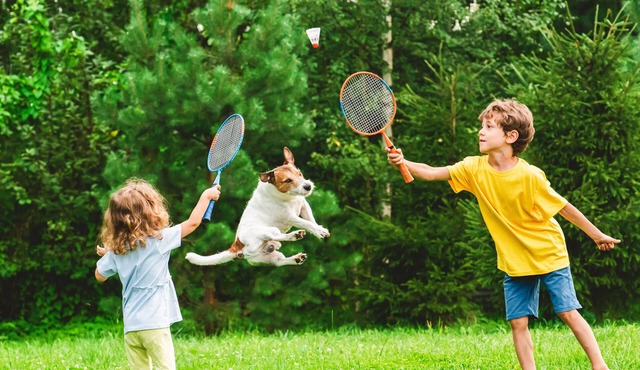 Erleben Sie die Ursprünglichkeit Usedoms mit Pool und Riesigem Garten