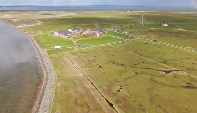Experience relaxing days in our cozy apartment on Langeneß Hallig