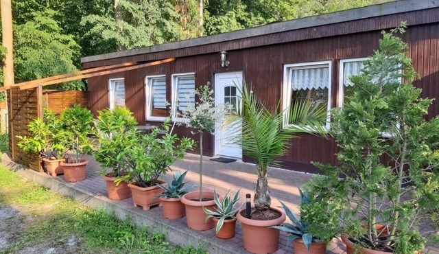 Ferienhaus "Waldhäuschen am Waldesrand"