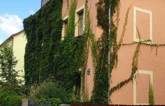 Frank´s Ferienwohnung in Dresden
