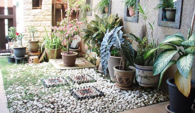 Garden Vacation Suite