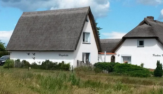 Hagebutte in Wieck