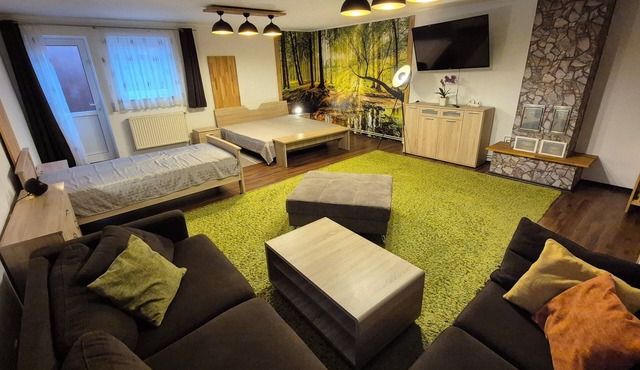 High-quality 120m² basement apartment in Ihlenfeld near Neubrandenburg