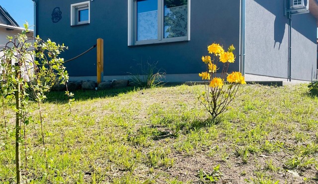 Holiday Home 'Zur Schwalbe' with Private Terrace, Wi-Fi and Air Conditioning