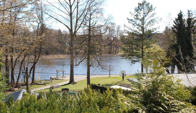 Holiday home on a south-facing wooded slope with great lake views