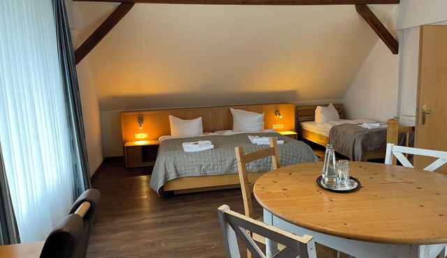 Hotel Luther Birke Wittenberg