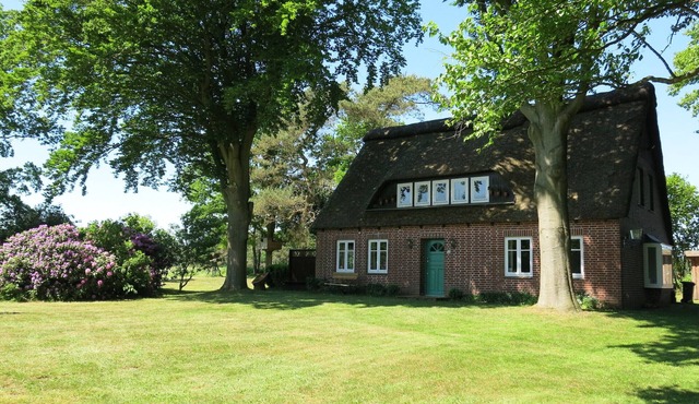 Idyllic thatched cottage in a unique natural setting in Wingst