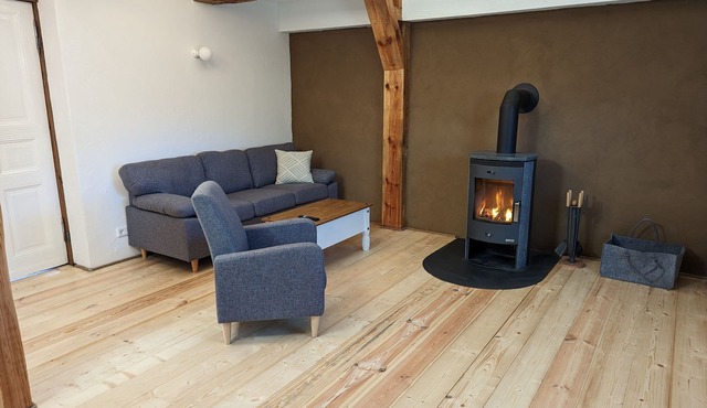 in Berkenlatten mit Großer Terrasse by Interhome