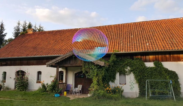 Jabłkowo-na skraju Puszczy Boreckiej ŚNIADANIA W CENIE