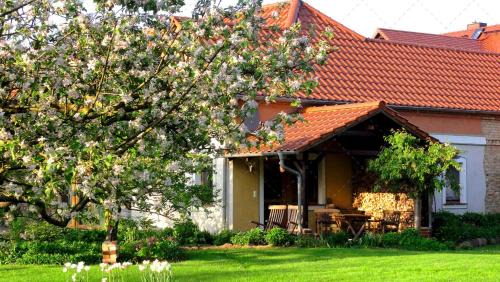 JANISCHs Fewo im Spreewald, Terrasse, großer Garten und Blick inklusive
