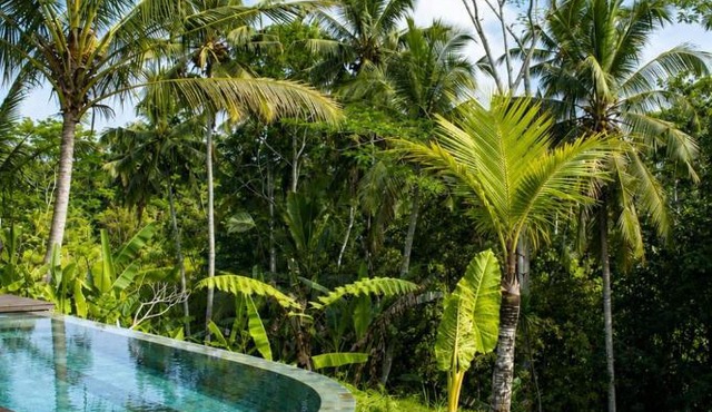 Kailash Romantic 1BR Ricefield Villa Ubud with Private Pool