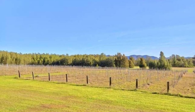 La Vigna Function and Wedding Accommodation the whole vineyard sleeps up to 40 in Pokolbin