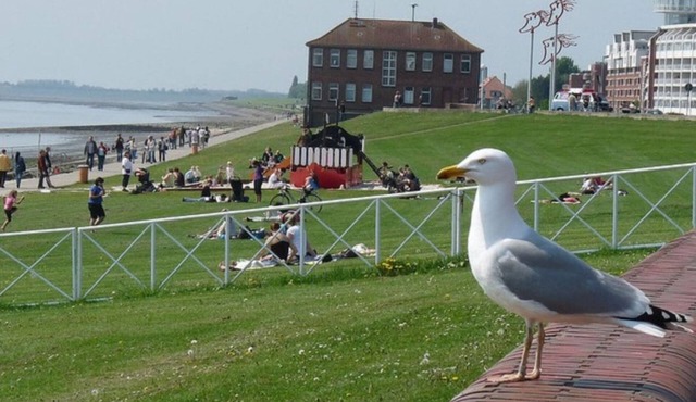 Luxury captain's apartment 'Helgoland-Avantgarde' on the south beach in WHV